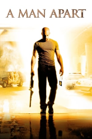 A Man Apart (2003) Hindi Dual Audio [850MB] - Movierulz