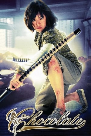 Chocolate (2008) Hindi Dual Audio 300MB - Movierulz