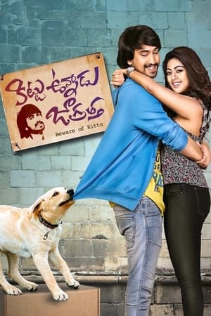 Kittu Unnadu Jagratha 2017 Hindi Dual Audio [1.1GB] - Movierulz